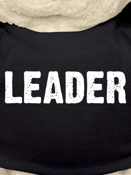 Leader