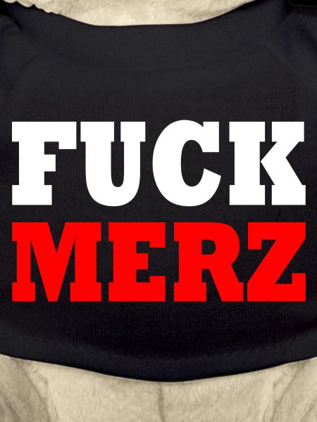 fuck merz