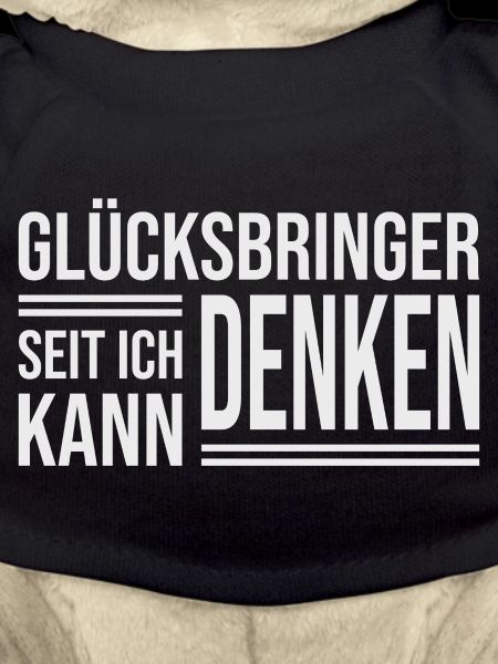 Schornsteinfeger – Dein Glücksbringer