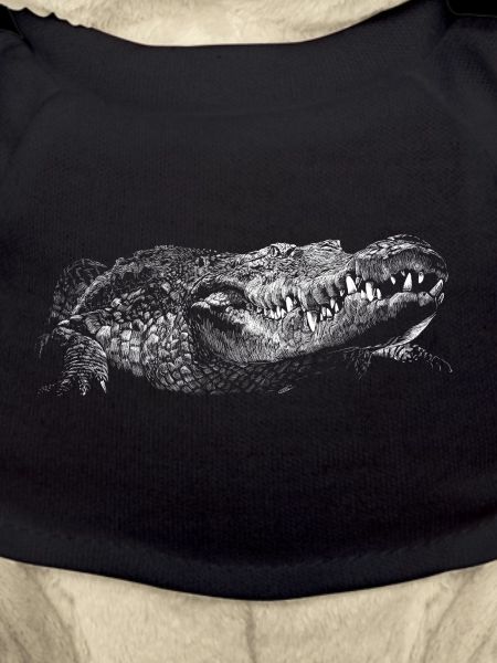 Crocodile