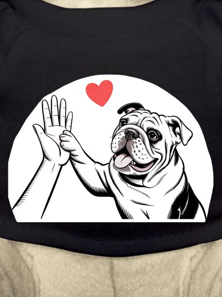 English Bulldog