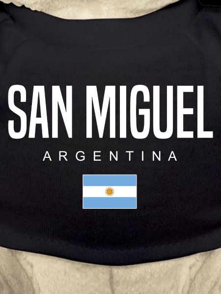 San Miguel Argentina Argentinian