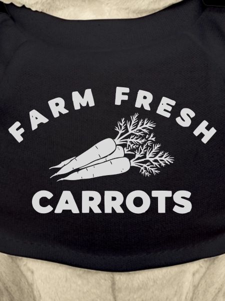 Farm Fresh Carrots