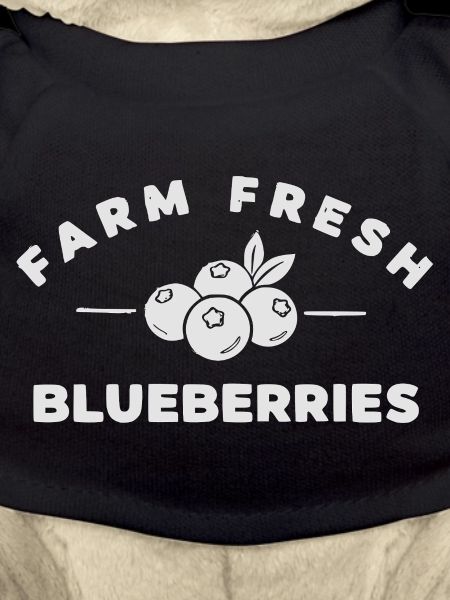 Farm Fresh Blueberries