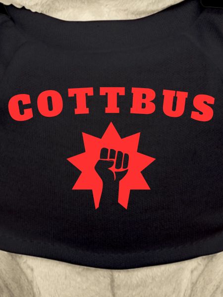 Cottbus