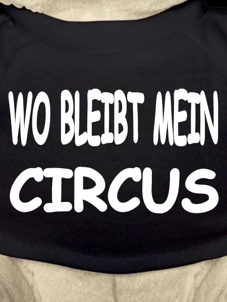 Circus