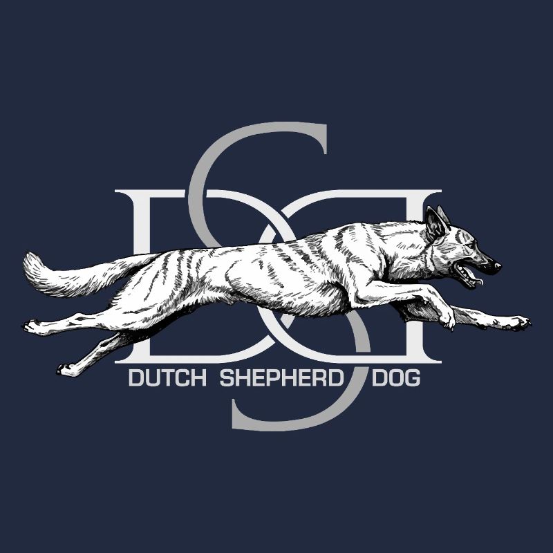 Dutchie - Holländischer Schäferhund