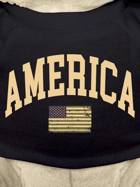 Amerika Camouflage Flagge