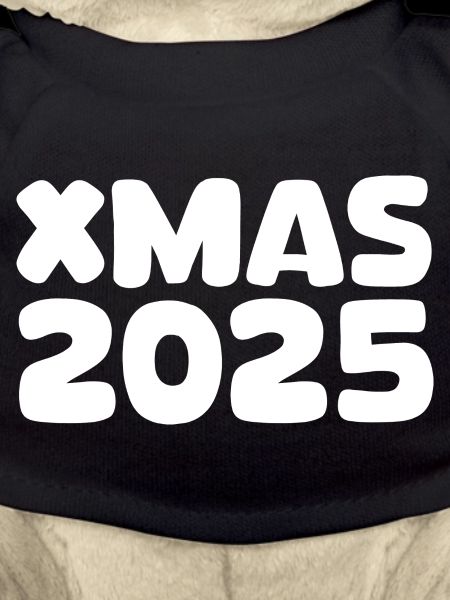 XMAS 2025 lettering
