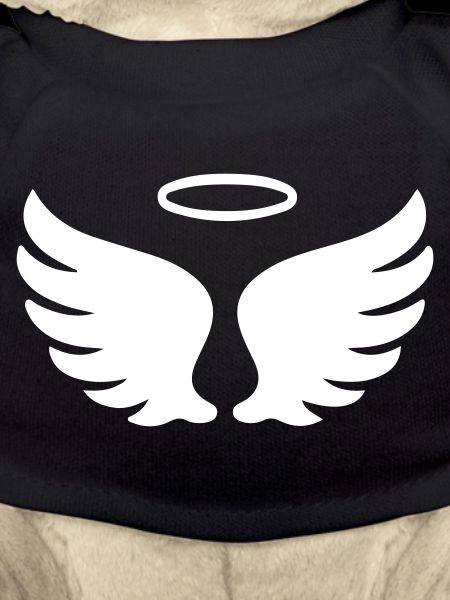 Wings Angel Symbol
