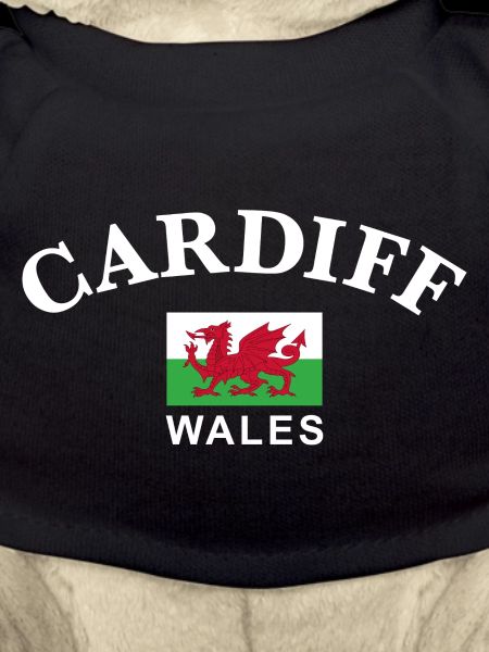 Cardiff, Wales