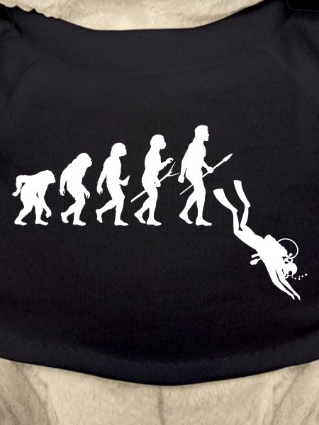 Taucher Evolution - Tauchen
