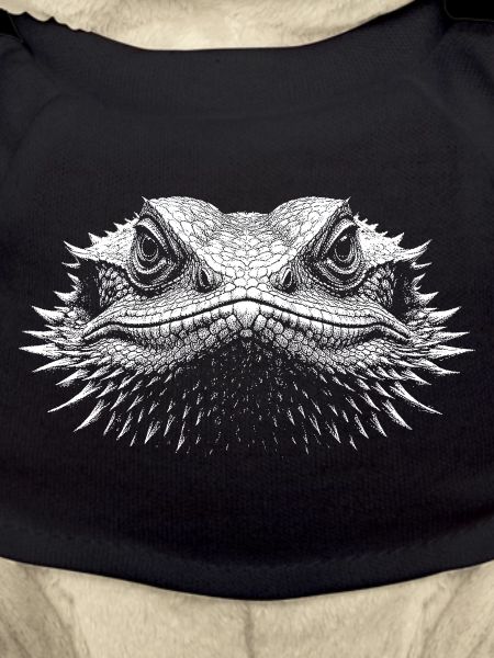 Dragon barbu