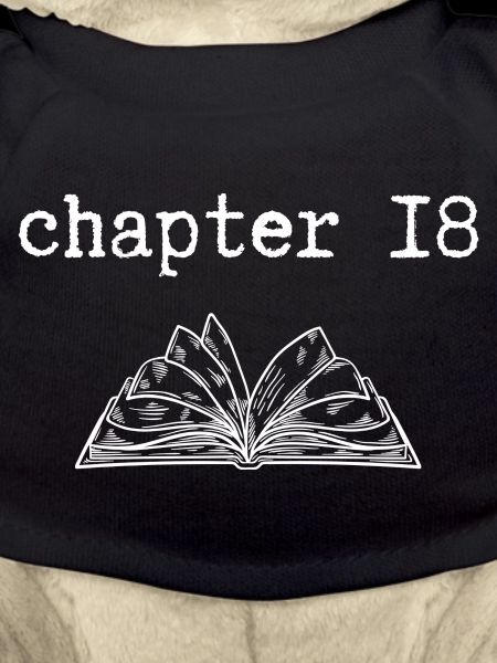 chapitre 18 : Anniversaire