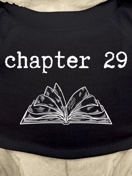 chapter 29 Birthday