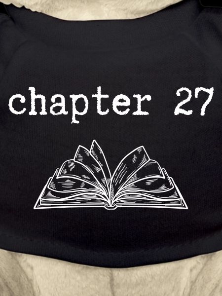 chapter 27 Birthday