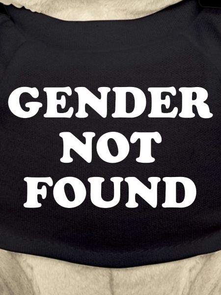 Gender Not Found
