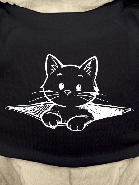 Small cat