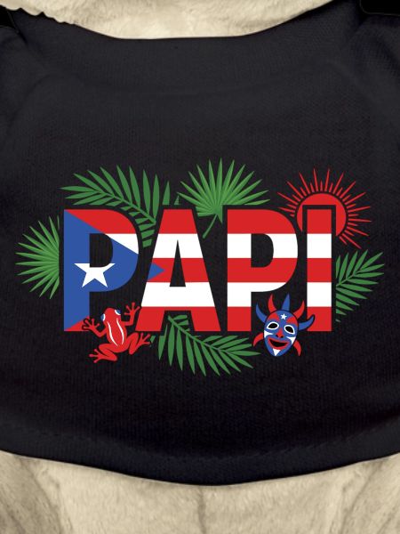 Papi Puerto Rico Flag Vacation