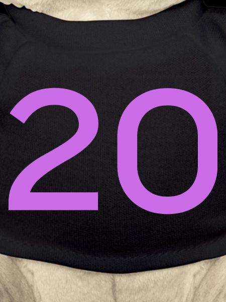 20