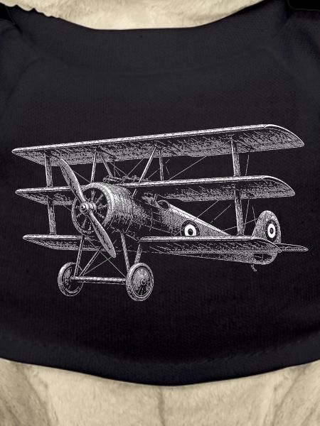 Triplane