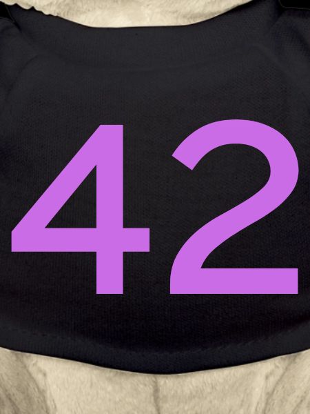 42