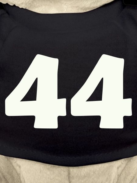 44
