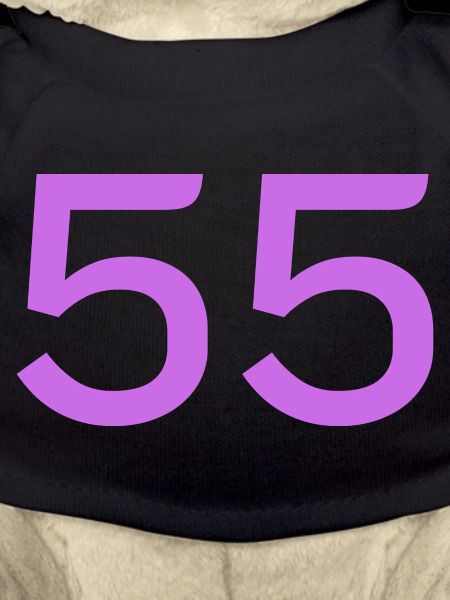 55