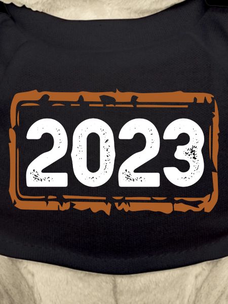 2023 year