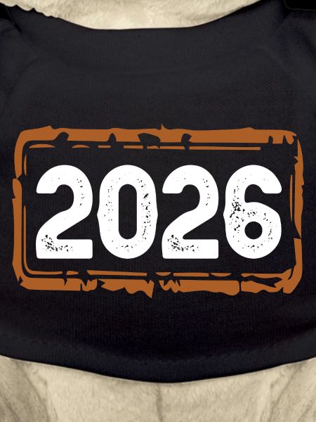 2026 year