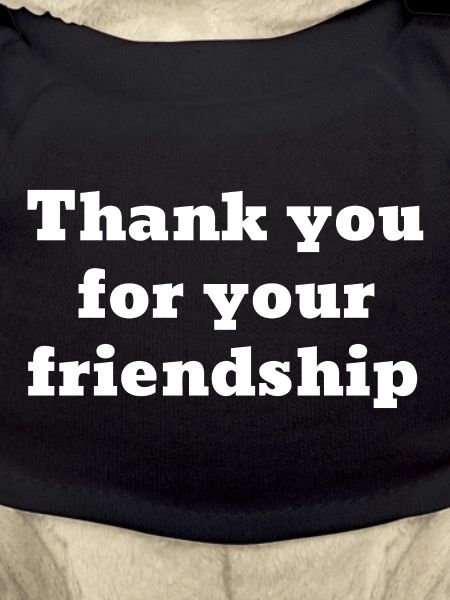 Danke für deine Freundschaft