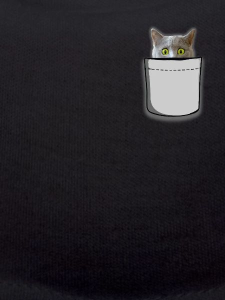 Cat bag