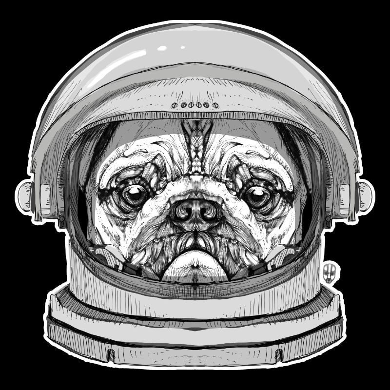 Mops Astronaut