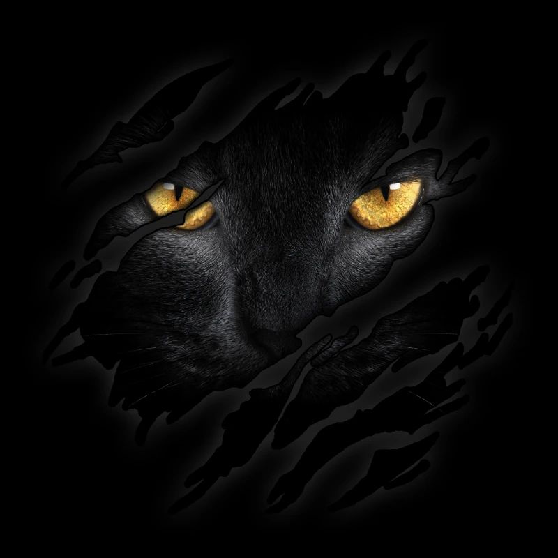 Katze in mir
