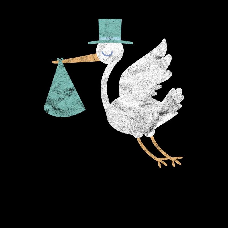 Naissance enceinte bébé fils cigogne cadeau baptême