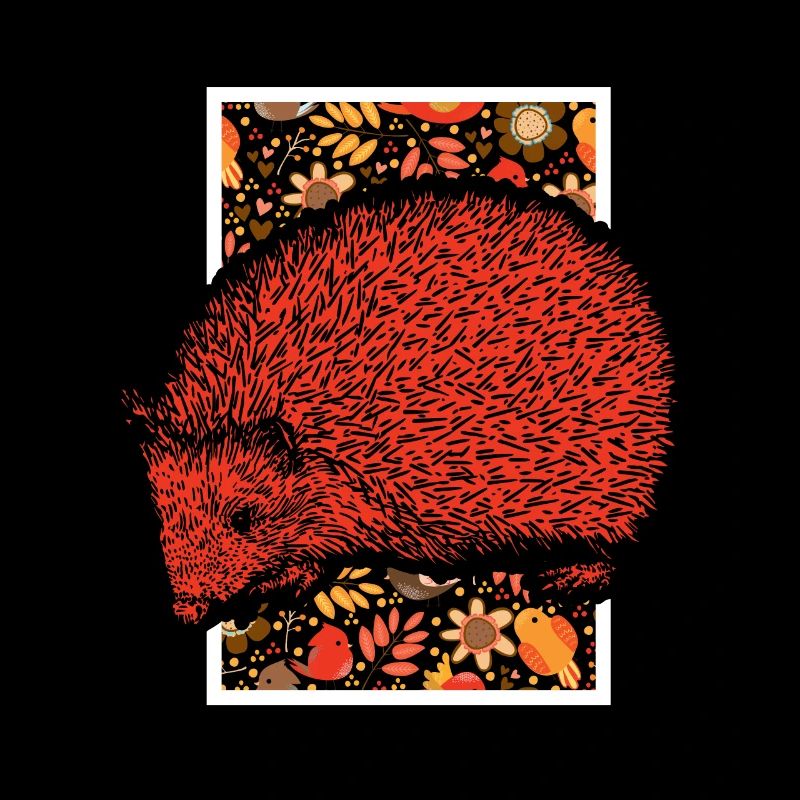 Hedgehog sting prickly nature animal gift