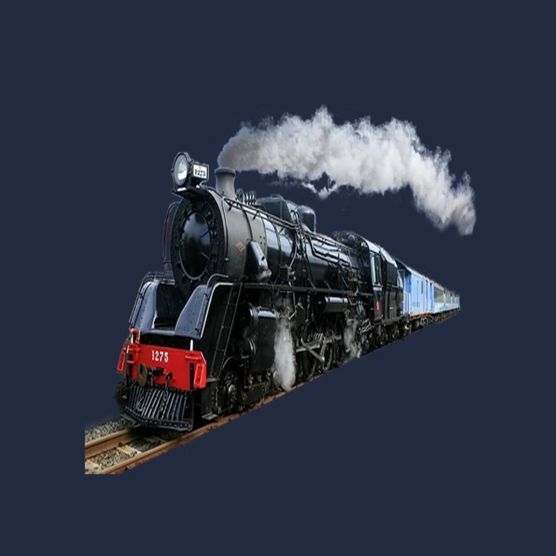(Train)