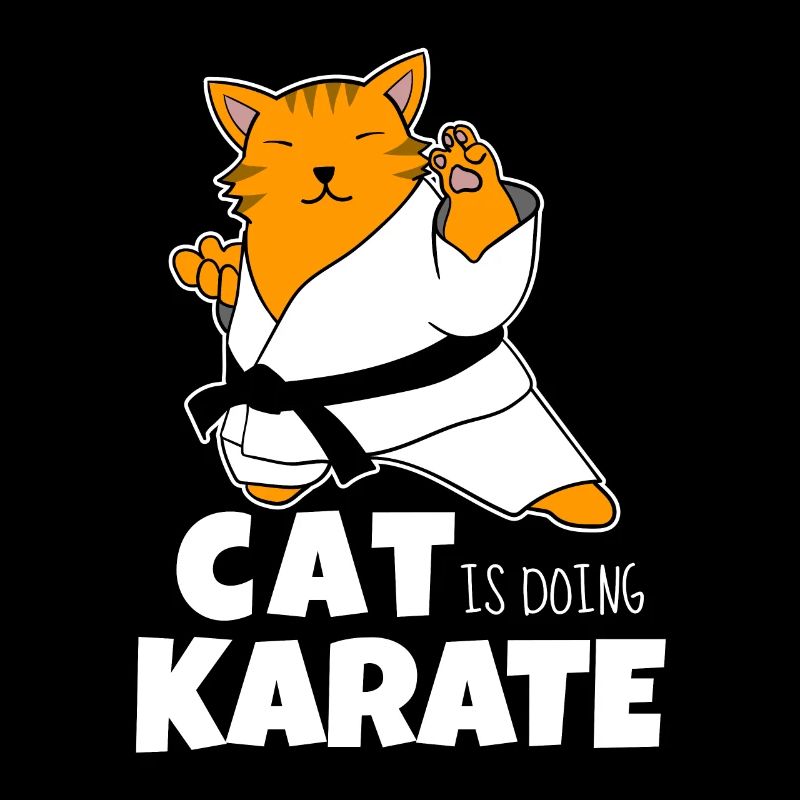 Katze macht Karate