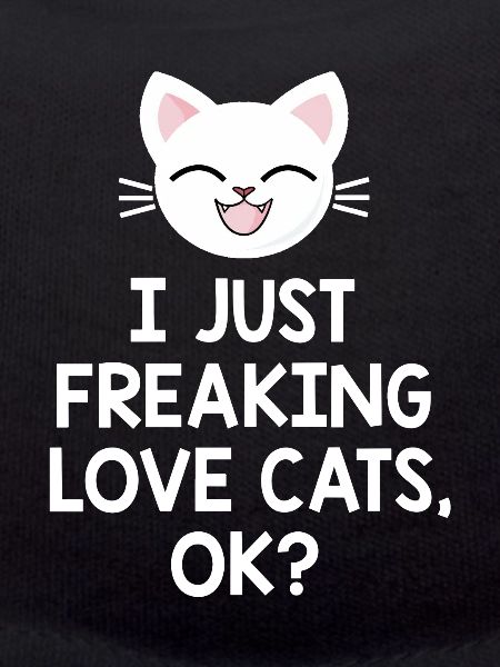 Katze