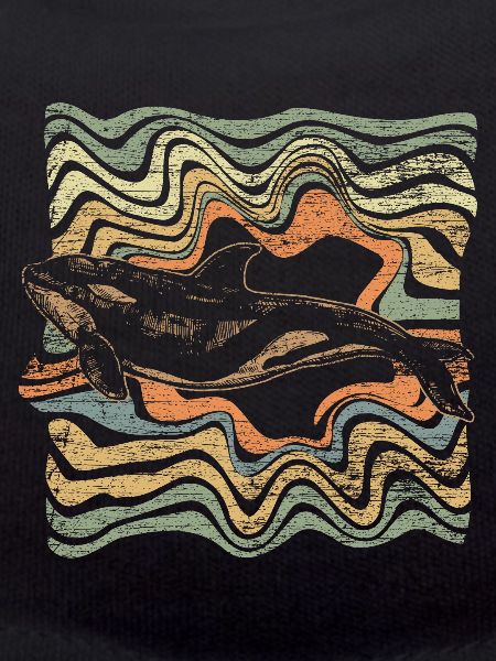 killer whale