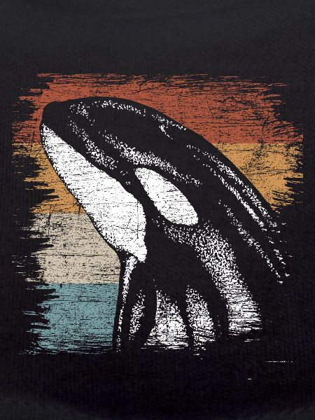 killer whale