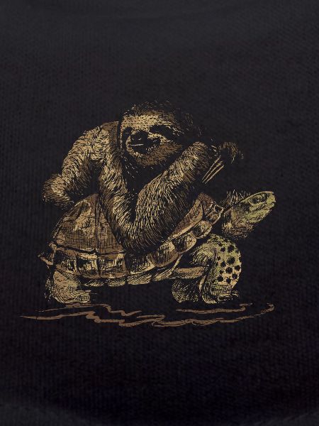 Sloth and a toad