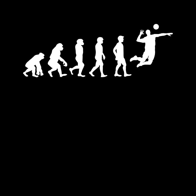 Volleyball Evolution Shirt Geschenk