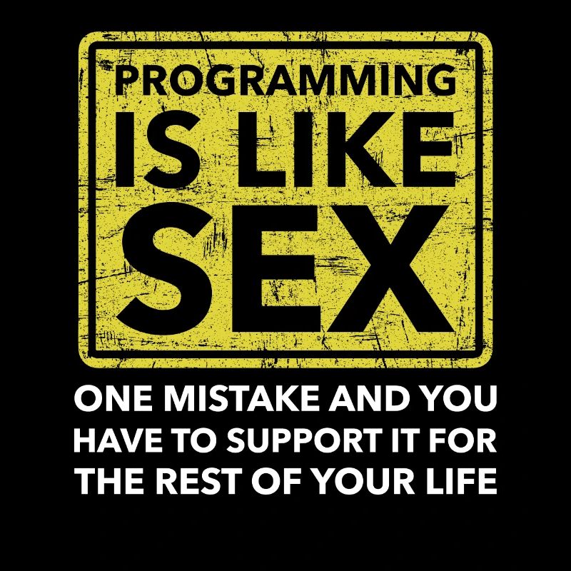 programmeur