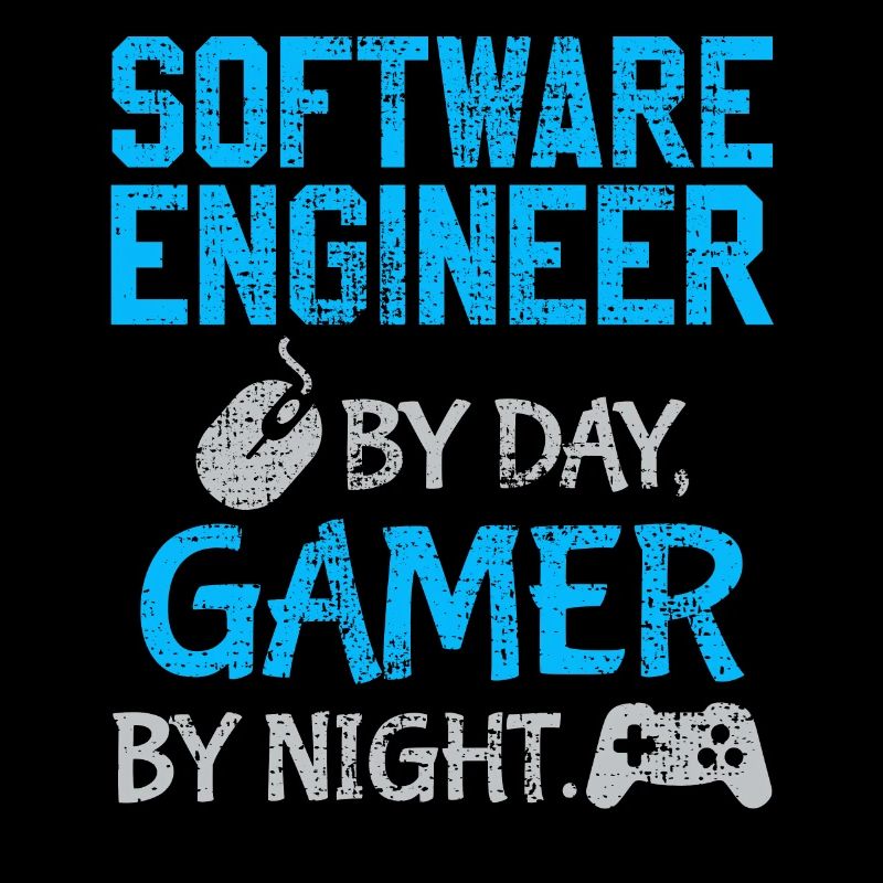 Software Ingenieur