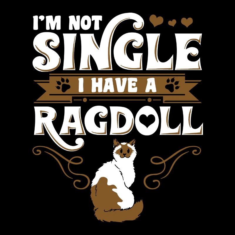 Ragdoll chat animal de compagnie