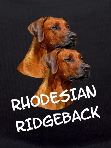 Rhodesian Ridgeback