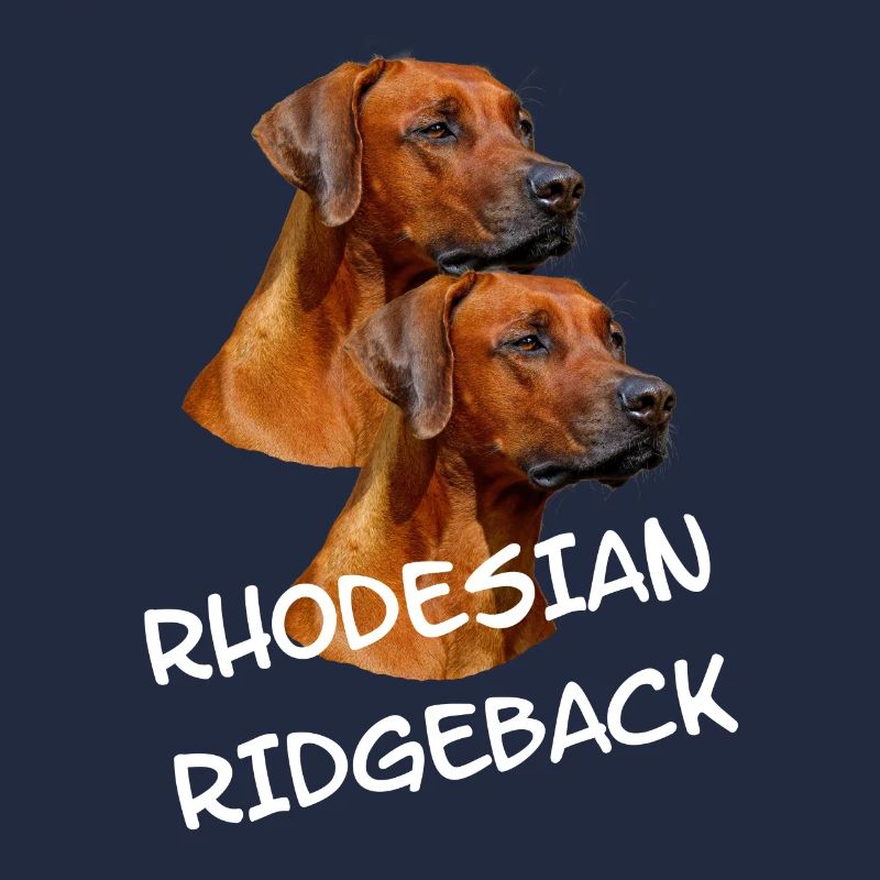 Rhodesian Ridgeback