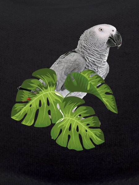 Grey Parrot Parrot