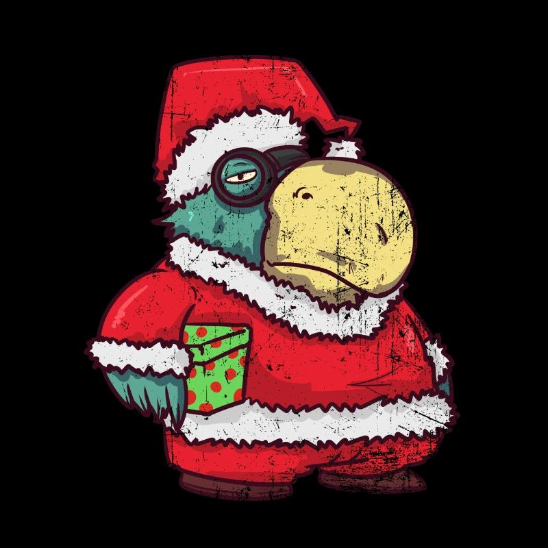Christmas Santa Claus parrot gift